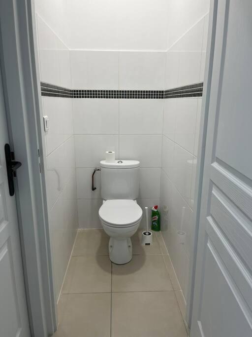 Bel Appartement A 15 Min De Lyon Saint-Fons Ngoại thất bức ảnh